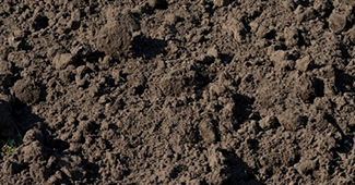 foto grond foto grond